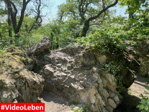 Mauerreste Tomburg - Tomberg - Rheinbacher Wald - Videoleben