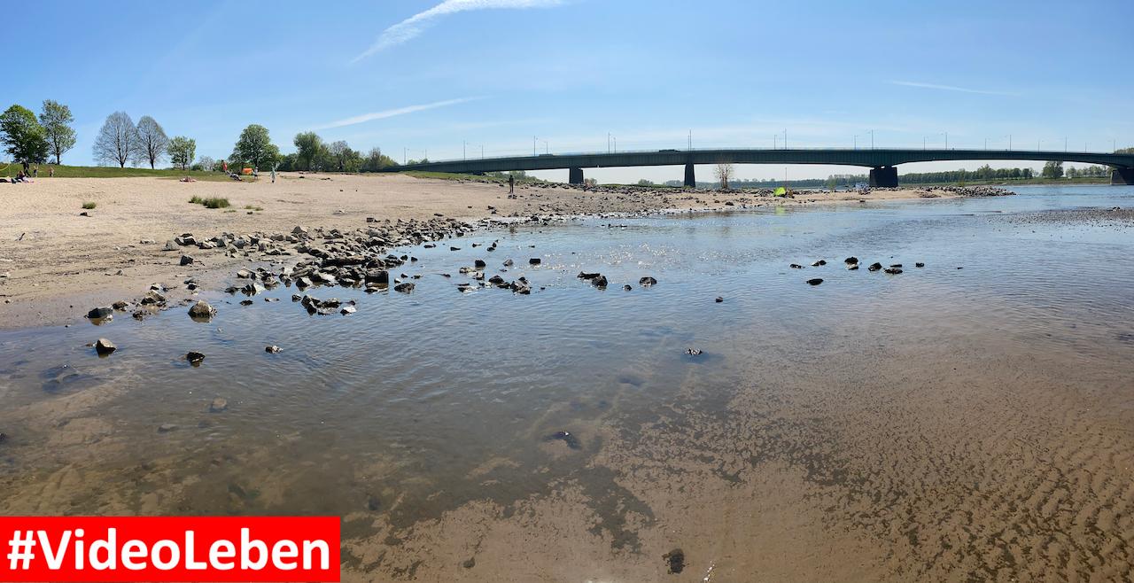 Panorama - Sandstrand am Rhein bei Düsseldorf Hamm - Videoleben