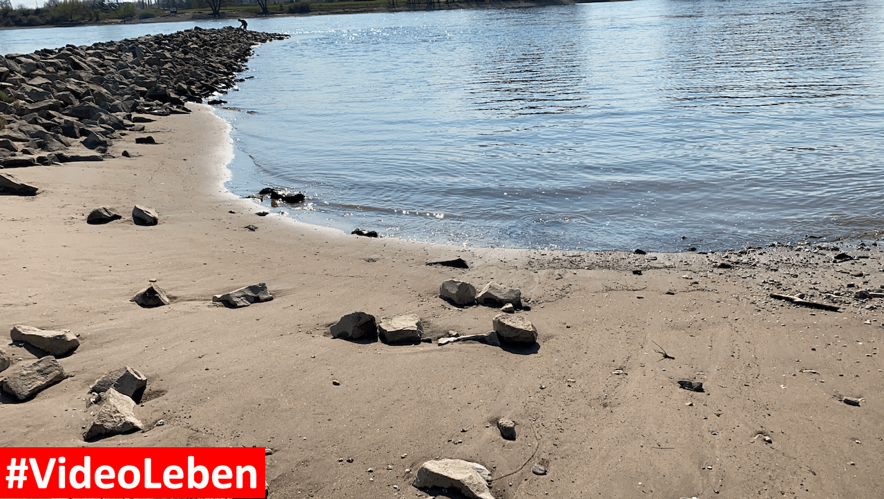 Sandstrand am Rhein bei der Wuppermündung - Videoleben