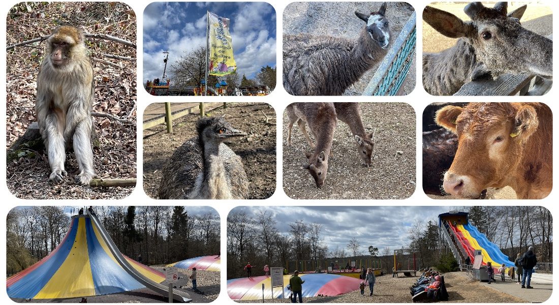 Wild- und Erlebnispark Daun - Videoleben