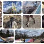 Wild- und Erlebnispark Daun - Videoleben