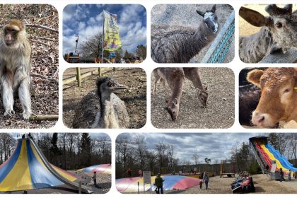 Wild- und Erlebnispark Daun - Videoleben