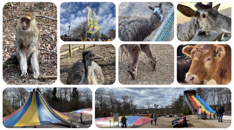 Wild- und Erlebnispark Daun - Videoleben