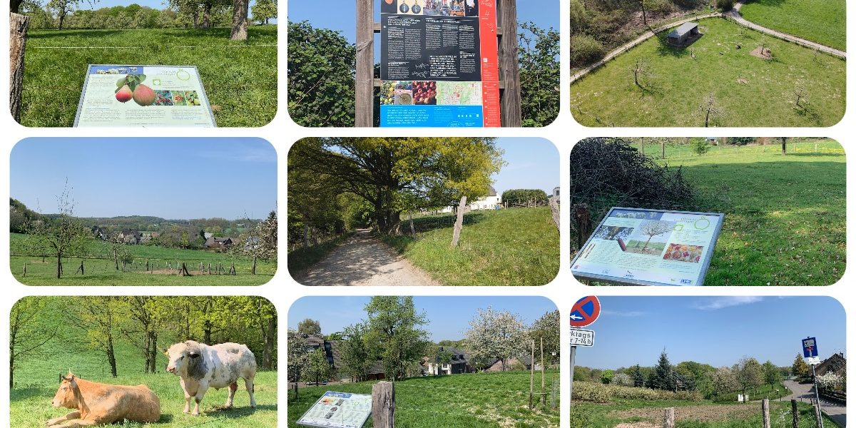 Leichlinger Obstweg - mit der Maus - Ausflugstipps trotz Corona - Videoleben