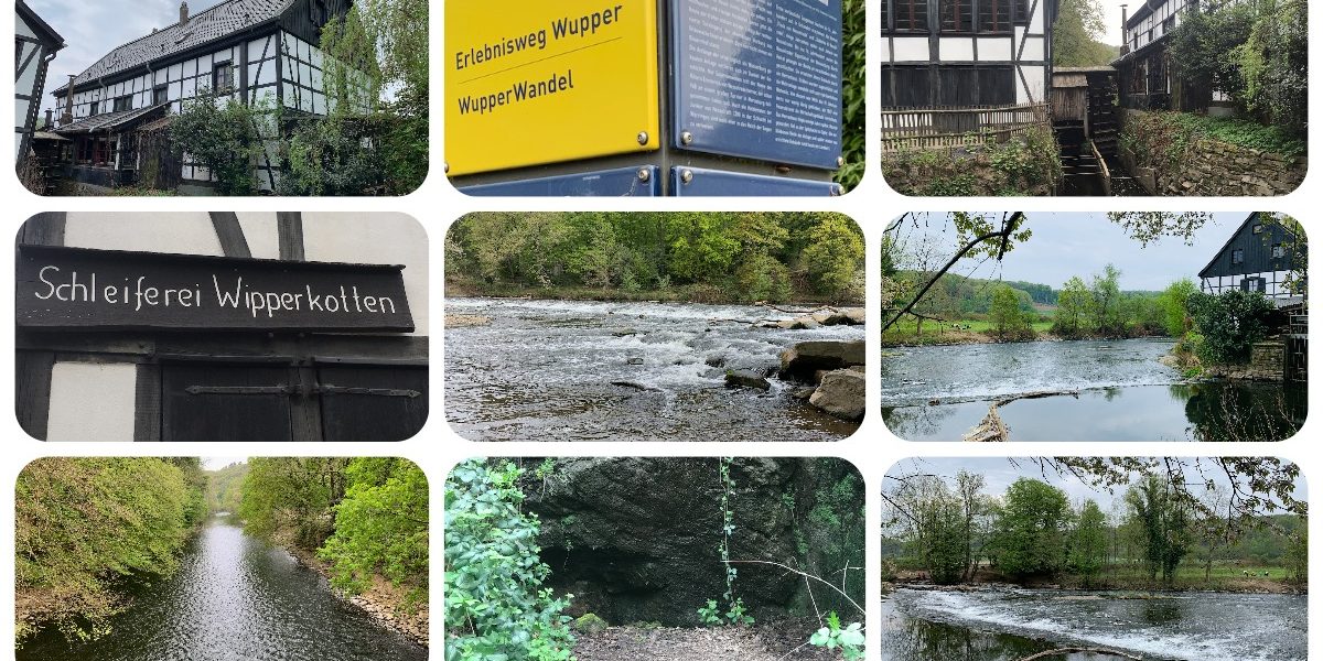 Rundwanderweg Wipperkotten - Friedrichsaue - Gut Nesselrath - #Videoleben - Ausflugstipps trotz Corona