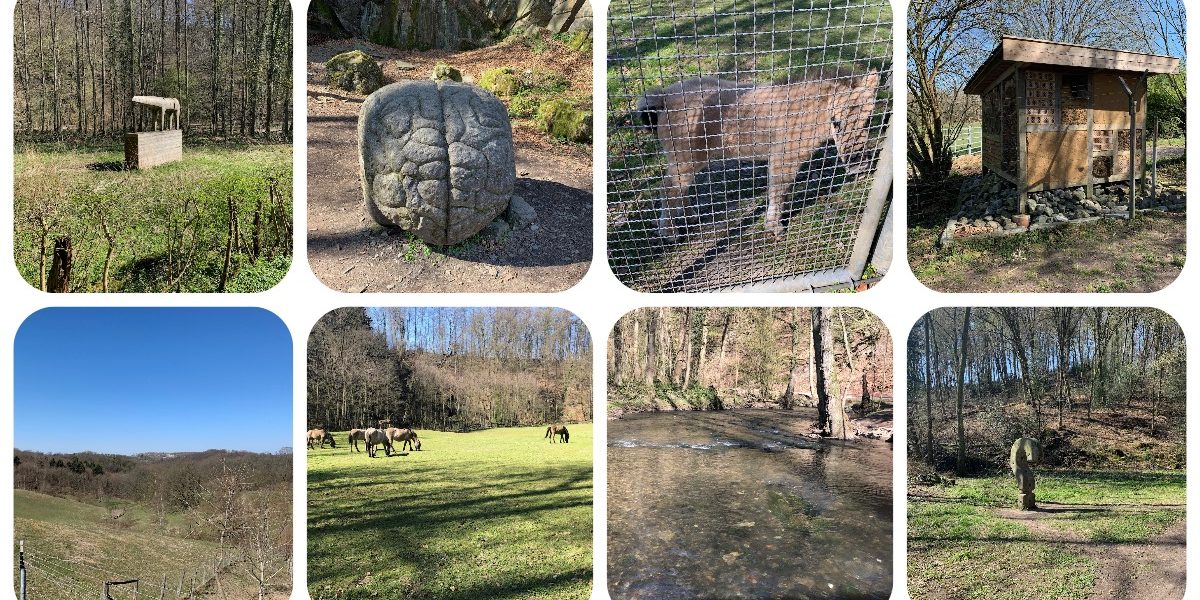 Wildgehege Neandertal - eiszeitliches Wildgehege - VideoLeben - Ausflugstipps bei Corona