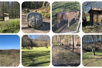 Wildgehege Neandertal - eiszeitliches Wildgehege - VideoLeben - Ausflugstipps bei Corona