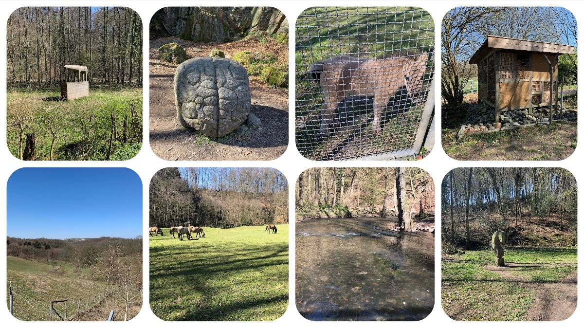 Wildgehege Neandertal - eiszeitliches Wildgehege - VideoLeben - Ausflugstipps bei Corona