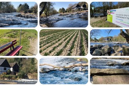 Wipperkotten an der Wupper - Leichlingen Leysiefen und Tulpen selbst scheiden in Leichlingen - Videoleben - Ausflugstipps bei Corona