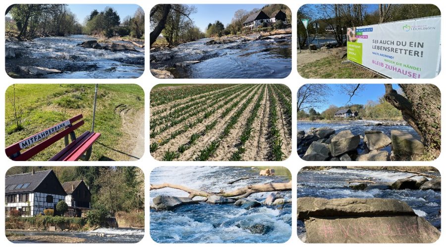 Wipperkotten an der Wupper - Leichlingen Leysiefen und Tulpen selbst scheiden in Leichlingen - Videoleben - Ausflugstipps bei Corona