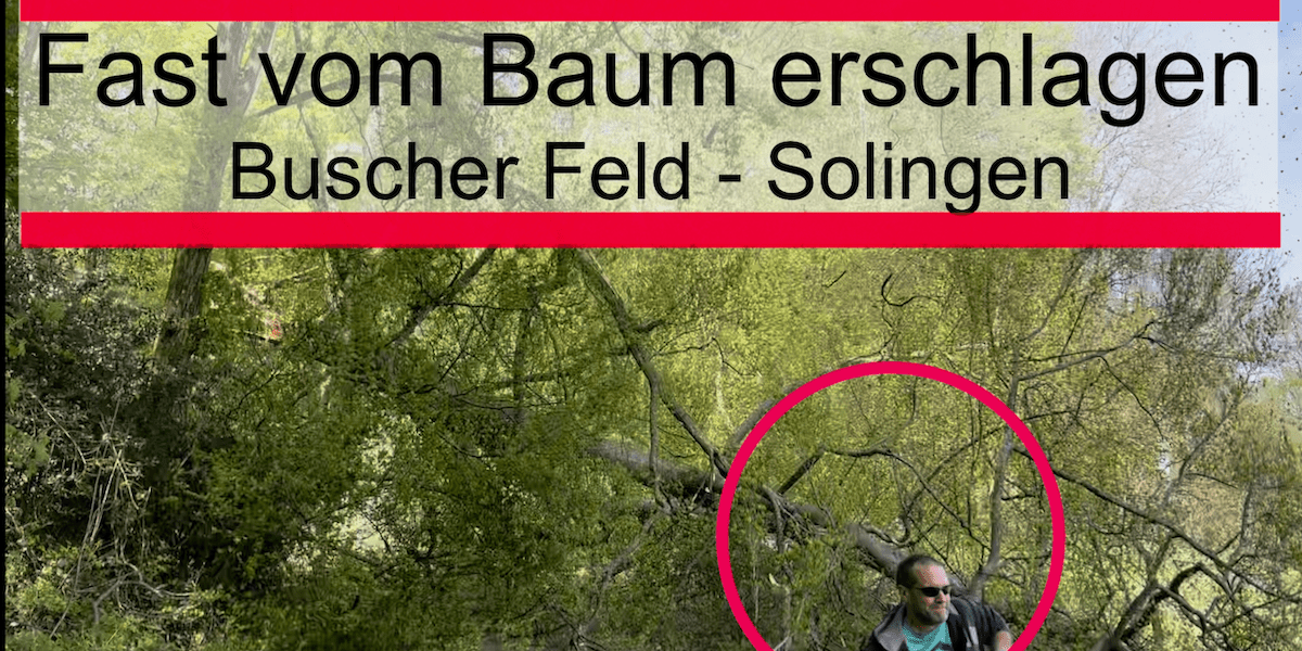 Fast vom Baum erschlagen - Buscher Feld in Solingen #Videoleben