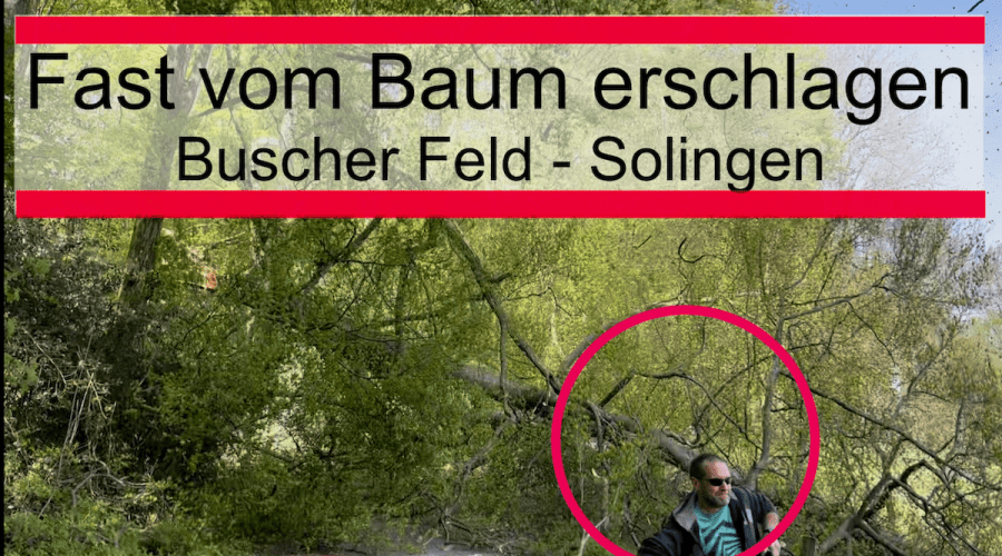 Fast vom Baum erschlagen - Buscher Feld in Solingen #Videoleben