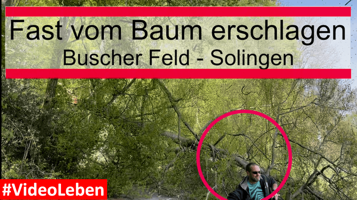 Fast vom Baum erschlagen - Buscher Feld in Solingen #Videoleben