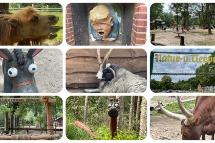 Natur- und Tierpark Brüggen - Abenteuerspielplatz - #VideoLeben