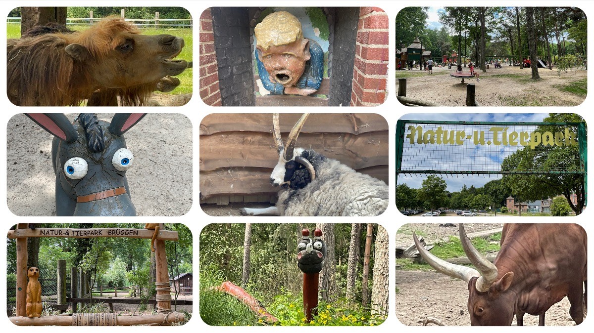 Natur- und Tierpark Brüggen - Abenteuerspielplatz - #VideoLeben