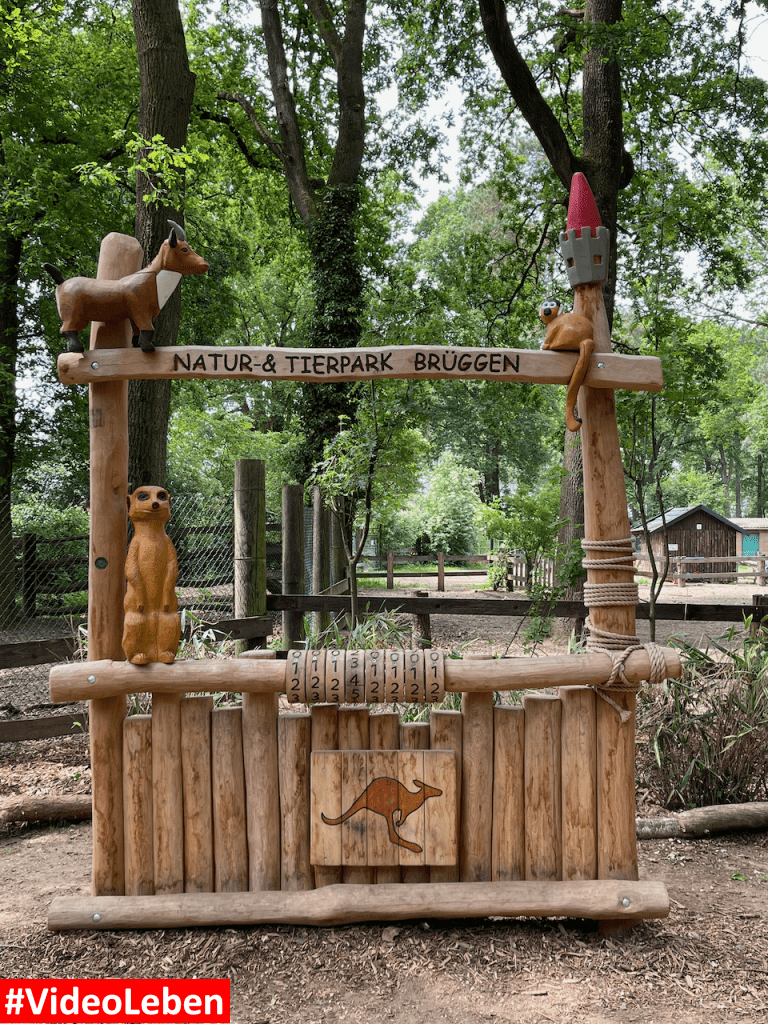 Natur- und Tierpark Brüggen - Abenteuerspielplatz - #VideoLeben