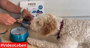 das riecht gut Fred Felia - Tim Raue - Limited Edition - videoleben von familyeller