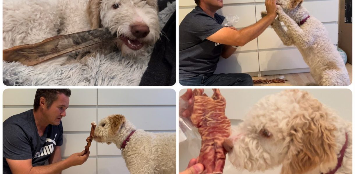 Natur-Kauartikel - getestet durch videoleben von familyeller