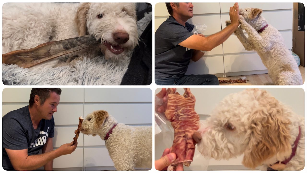 Natur-Kauartikel - getestet durch videoleben von familyeller