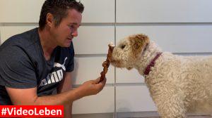 Ochsenziemer geflochten - Naturkauartikel - getestet durch videoleben von familyeller