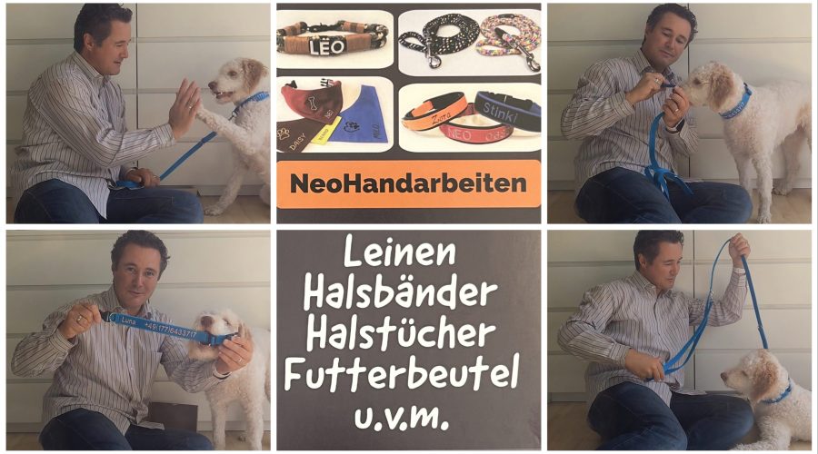 Produkttest - gepolstertes Hundehalsband mit Name und Telefonnummer von NeoHandarbeiten getestet von videoleben von familyeller