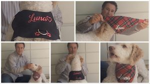 Produkttest - personalisiertes Halstuch und Geschirr - hundegeschirr-handmade und HundeschneidereiShop videoleben von familyeller