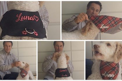 Produkttest - personalisiertes Halstuch und Geschirr - hundegeschirr-handmade und HundeschneidereiShop videoleben von familyeller