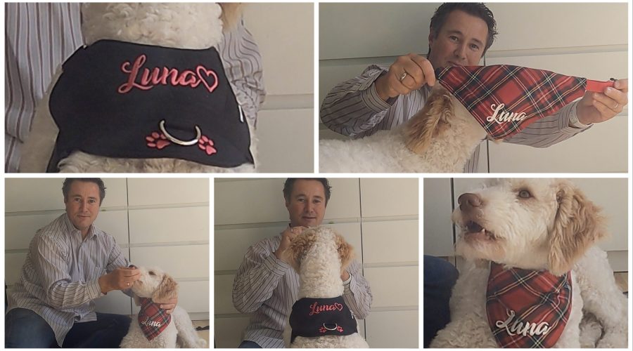 Produkttest - personalisiertes Halstuch und Geschirr - hundegeschirr-handmade und HundeschneidereiShop videoleben von familyeller