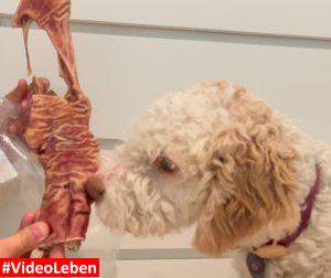 Rinderkopfhaut - Naturkauartikel - getestet durch videoleben von familyeller