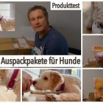 dogiaction - Auspackpakete fü Hunde getestet von videoleben von familyeller
