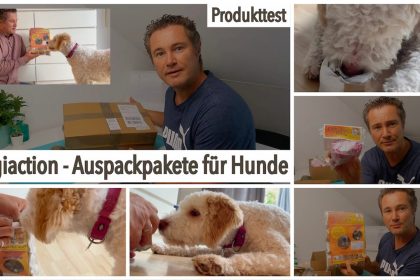 dogiaction - Auspackpakete fü Hunde getestet von videoleben von familyeller