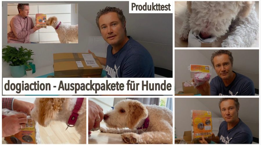 dogiaction - Auspackpakete fü Hunde getestet von videoleben von familyeller