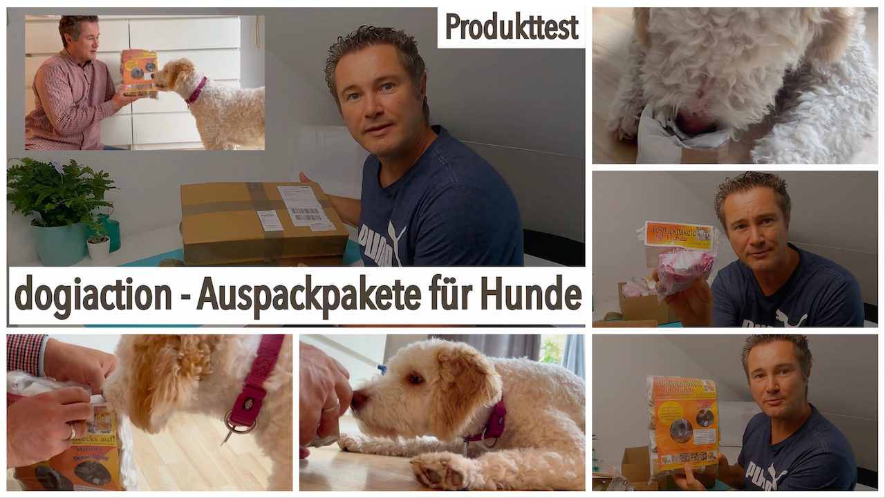 dogiaction - Auspackpakete fü Hunde getestet von videoleben von familyeller