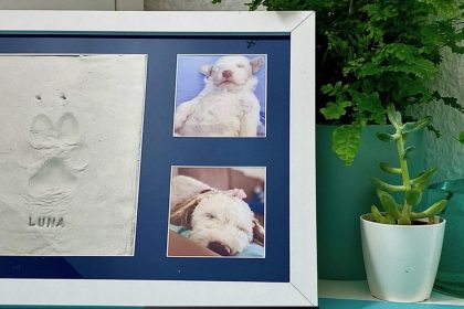 fertige Erinnerung - Pfotenabdruck Set von Amari - Amarigeschenke - gestetet von videoleben von familyeller