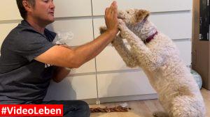 high five - Naturkauartikel - getestet durch videoleben von familyeller