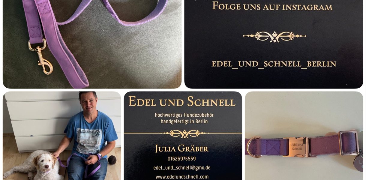 Halsband und Leine für Hunde - Edel und Schnell - getestet von Videoleben von Familyeller