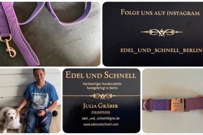 Halsband und Leine für Hunde - Edel und Schnell - getestet von Videoleben von Familyeller
