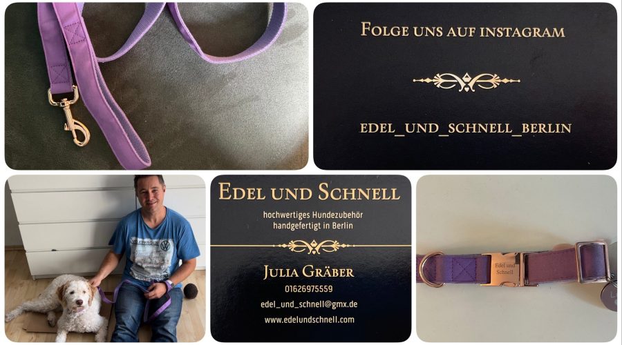 Halsband und Leine für Hunde - Edel und Schnell - getestet von Videoleben von Familyeller