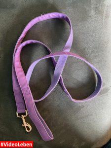 Leine für Hunde - Edel und Schnell - getestet von Videoleben von Familyeller