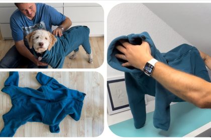 Produkttest - Warme Winter Hundejacke von HotDiggidyDogCanada - getestet von videoleben von familyeller
