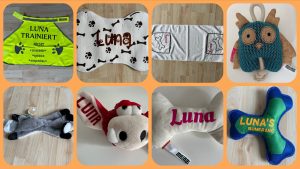 Produkttest - personalisierte Utensilien für Hunde von MEINZ4U - getestet von videoleben von familyeller