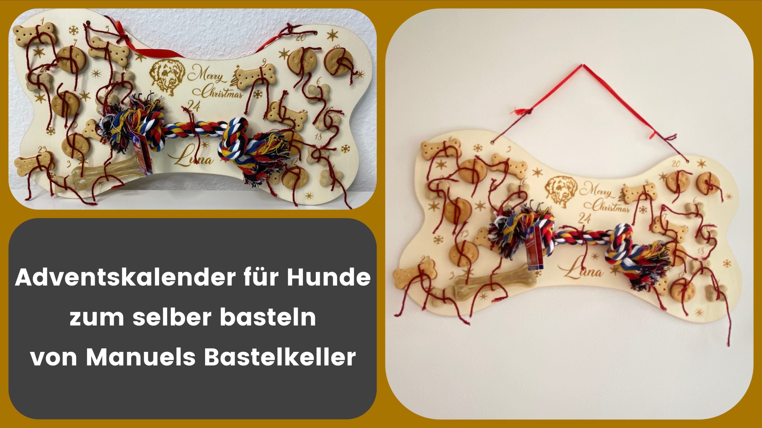 Produkttest - personalisierter Adventskalender für Hunde - getestet von videoleben von familyeller