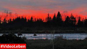 Blick bei Sonnenuntergang aus dem Schlafzimmer - Ferienhäuser am Mühlenweiher - Videoleben von familyeller