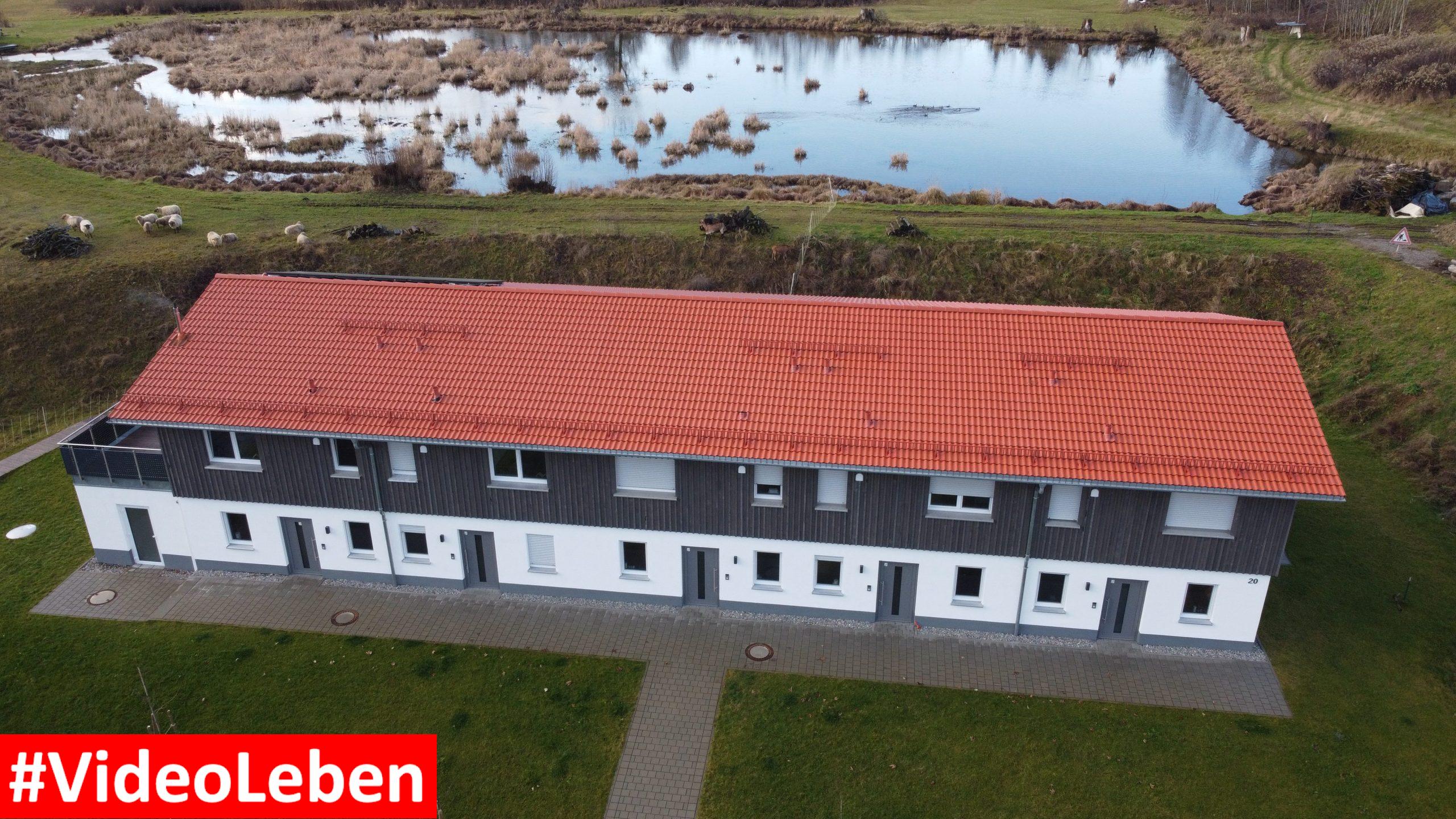 Der Weiher im Hintergrund - Ferienhäuser am Mühlenweiher - Videoleben von familyeller