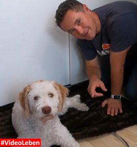 Luna liegt auf der Decke - Hundedecke To-Go von Yunani Dogsign - getestet von videoleben von Familyeller