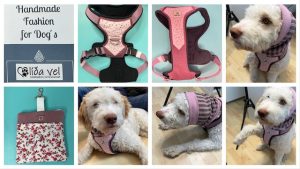 Hundegeschirr Leckerli Tasche und Hundeschal von Lida Vel Hundezubehör - NaturalCare69 - getestet von Videoleben von Familyeller