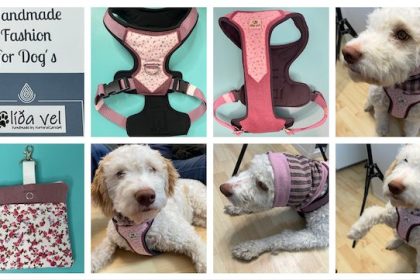 Hundegeschirr Leckerli Tasche und Hundeschal von Lida Vel Hundezubehör - NaturalCare69 - getestet von Videoleben von Familyeller