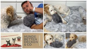 Hundebett - Kuschelbett Deluxe orthopädisch von HS-Hundebett.de getestet von videoleben von familyeller