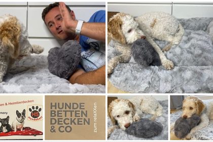 Hundebett - Kuschelbett Deluxe orthopädisch von HS-Hundebett.de getestet von videoleben von familyeller