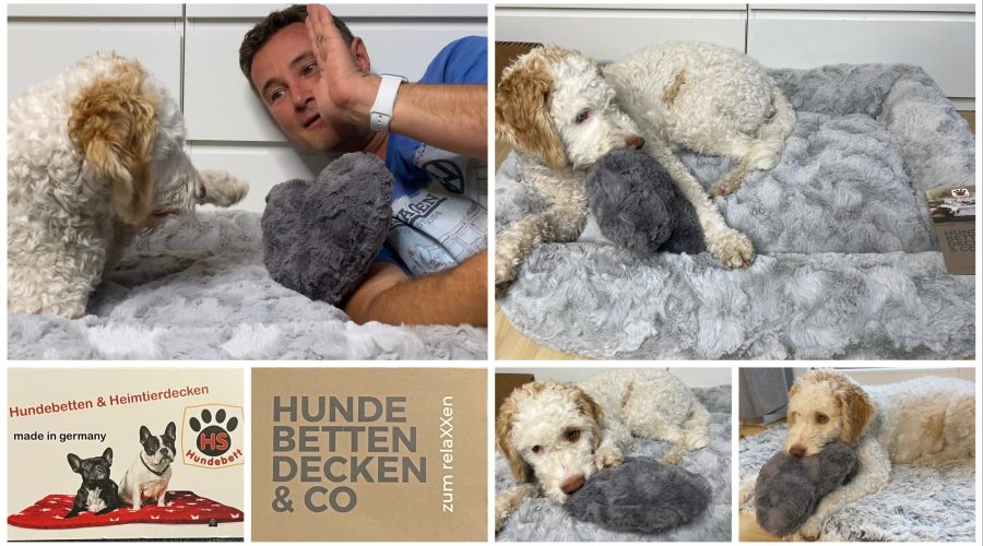 Hundebett - Kuschelbett Deluxe orthopädisch von HS-Hundebett.de getestet von videoleben von familyeller
